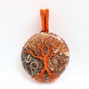 Turritella Agate  Wire Wrapped Pendant, Copper Pendant, Gemstone, Gorgeous Turritella Agate Pendant, Gemstone, Healing Stone, Crystal.