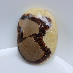 Natural Septarian  Palm stone , Crystal Mineral Specimen, Collector Mineral Specimen, palm stone for protection & Grounding, pocket stone.
