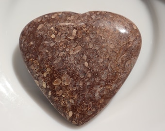 Natürlicher Turritella Achat Fossil Herzstein, echtes dunkelbraunes schwarzes Fossil aus Wyoming, Heilstein, Palmenstein, Herzheilstein
