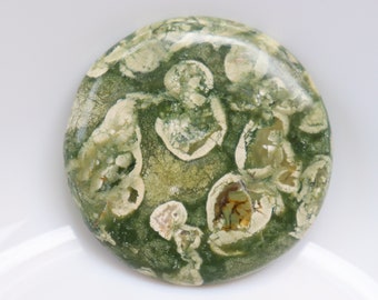 Rainforest Rhyolite Cabochon Stone, Healing Rainforest Jasper Crystals, Healing Rhyolite Stones, Pocket Stone, Loose Stone, Gemstone.