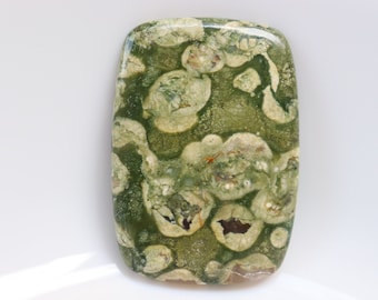 Cabujón de riolita de la selva tropical, cristales curativos de jaspe de la selva tropical, piedras curativas de riolita, piedra de bolsillo, piedra suelta, gema.