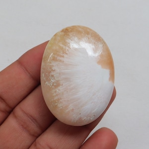 Op de afbeelding: Een ovale cabochon edelsteen in wit en bruin met een radiaal patroon. De edelsteen is glad en gepolijst.