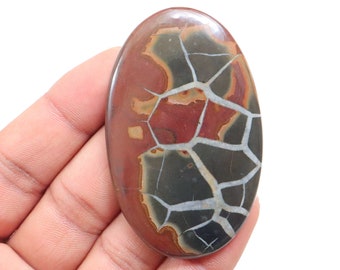 May include: A red, brown, and white oval cabochon with a unique, intricate pattern of white veins. The stone has a polished, smooth surface.