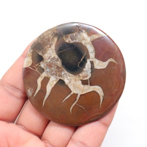 Big Size unieke zwarte septarian cabochon, natuurlijke zwarte septarian edelsteen, Marokkaanse zwarte septarian knobbel edelsteen voor het maken van sieraden