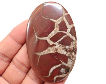 May include: A polished oval cabochon of red and white dendritic agate. The stone has a natural pattern of white dendrites branching out across the red background.
