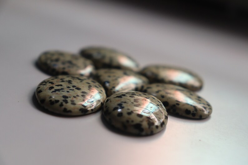 Natural Dalmation 7 Piece lot Very Charming And Beautiful Shapes Superb avg Dalmation Full Lot Dimensions- 35x25x5mm Wt-265ct.