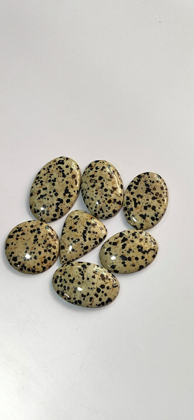 Natural Dalmation 7 Piece lot Very Charming And Beautiful Shapes Superb avg Dalmation Full Lot Dimensions- 35x25x5mm Wt-265ct.