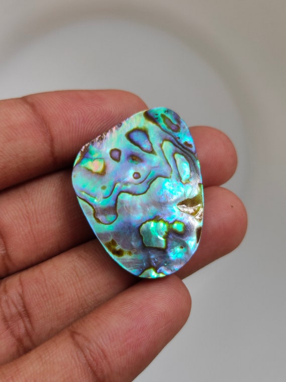 Beautiful abalone Polished Paua Abalone Shells (about 5 main image 3
