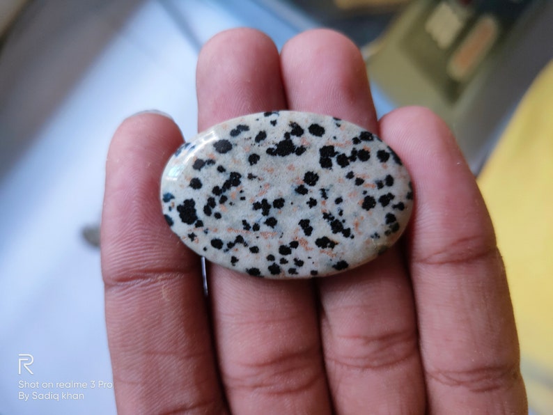 Natural Dalmation 7 Piece lot Very Charming And Beautiful Shapes Superb avg Dalmation Full Lot Dimensions- 35x25x5mm Wt-265ct.