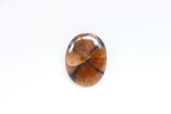 Chiastolite - Cabochon Chiastolite - Cabochon