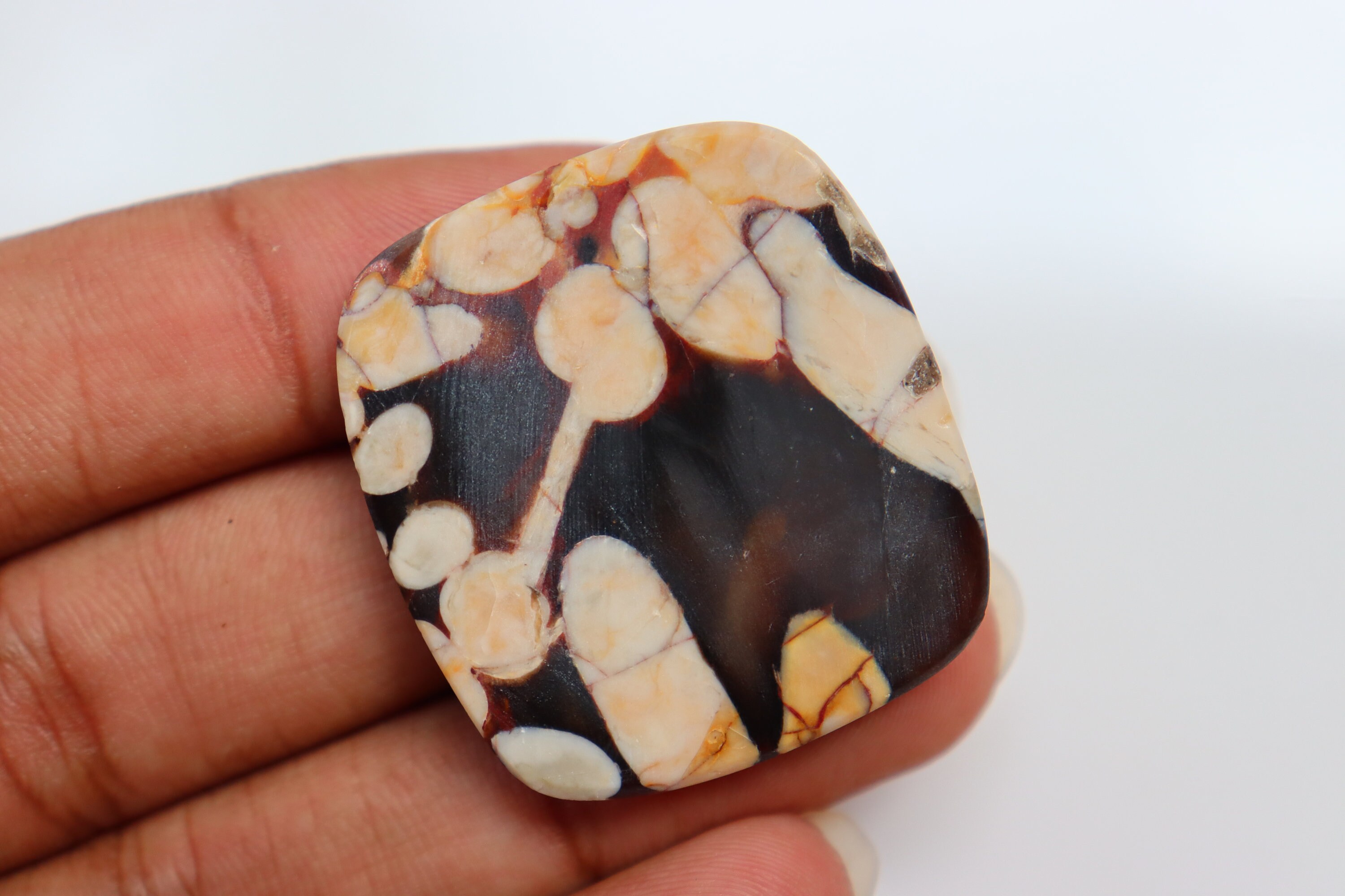 Peanut Wood Jasper Cabochon Peanut Wood Jasper Oval Shape Etsy