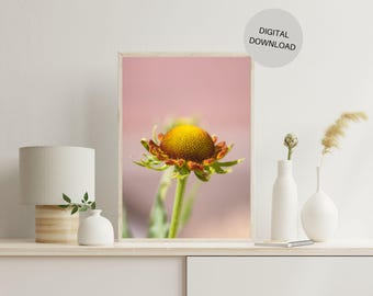 Fotografía imprimible de flor, imagen macro de planta, rosa, impresión de arte botánico, digital, fotografía macro en color