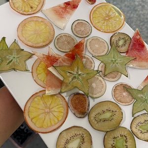 Real Fruit Resin Earrings: 18K Gold Filled Earwires