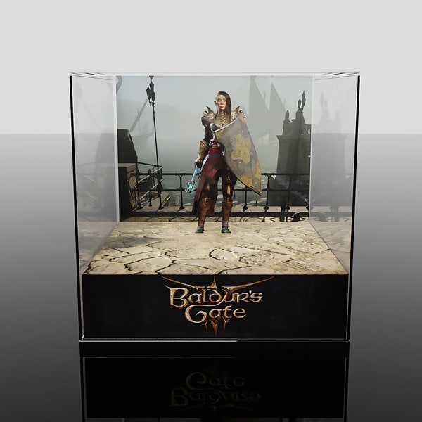 Baldur's Gate 3 diorama - Your character miniature in an Acrylic Cube