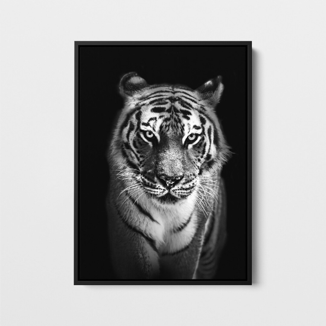 Black and White Tiger Wall Art Safari Animal Canvas Print Etsy