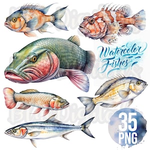 Aquarell Fisch PNG, Fische PNG, Fisch Clipart Bundle Png, Aquarell Png-Set von Fisch, Garnelen PNG, 300 dpi Png Fische, kommerzielle Nutzung