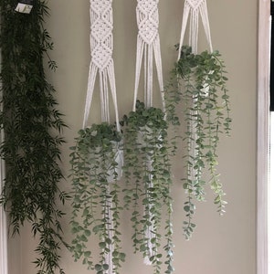May include: Three white macrame plant hangers with green leafy plants hanging from them. The hangers are attached to a white wall.