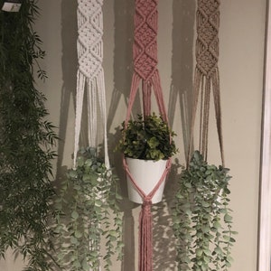 May include: Three macrame plant hangers with wooden rings at the top. The hangers are white, pink, and brown. Each hanger has a potted plant hanging from it.