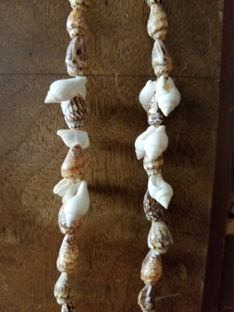 18 Inch Seashell Rope Necklace Made With Tiny Conch Shells Etsy