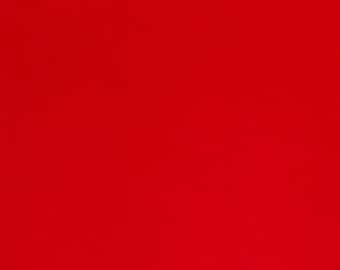 Minky Fabric -Solid Cuddle 3 Scarlet - Shannon Fabrics