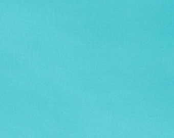 Minky Fabric -Solid Cuddle 3 Topaz - Shannon Fabrics