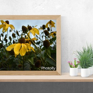 Yellow flowers digital download photography