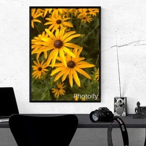 Yellow flowers digital download photography
