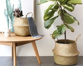 Woven Natural Seagrass Storage Basket Natural Seagrass Woven Storage Basket Pot Garden Flower Vase Hanging Wicker Basket Bellied Baskets