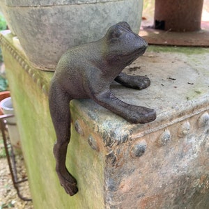 May include: A cast iron frog figurine with a dark brown finish. The frog is perched on the edge of a metal container with a textured surface.