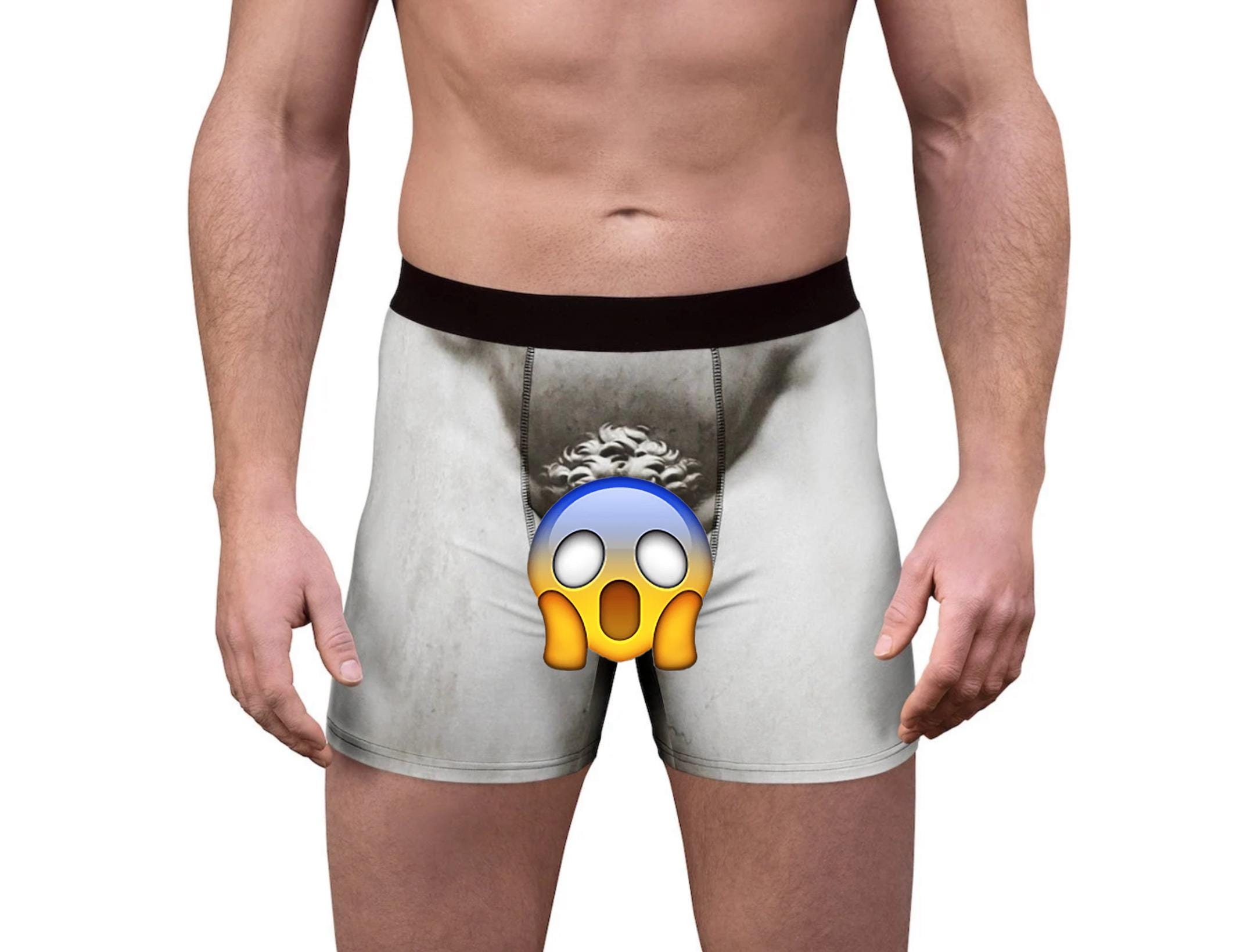 David Michelangelo Renaissance Artist Masterpiece Art Men s Boxer Briefs Etsy UK