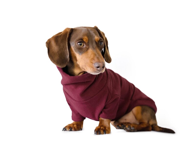 Dachshund clothing Dog clothes handmade sweater Etsy
