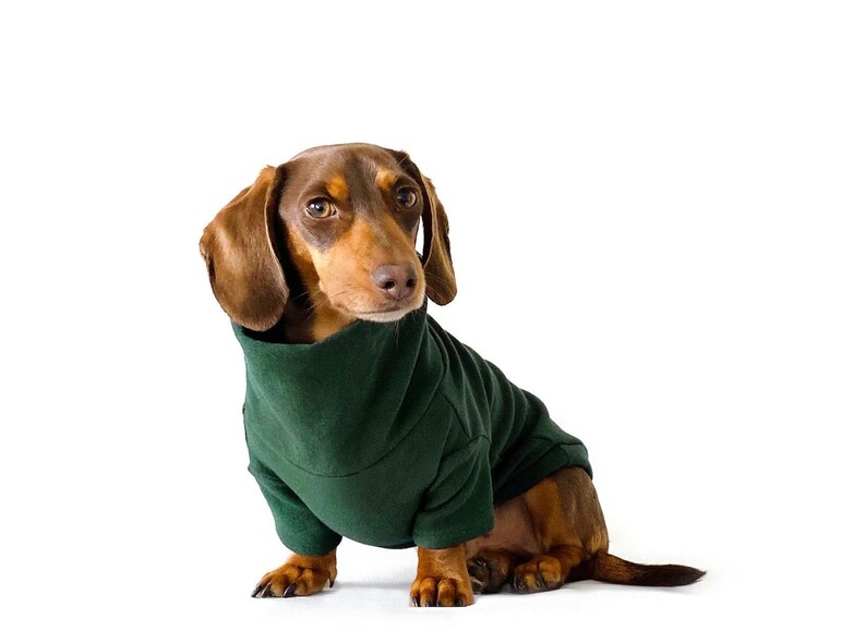 Dachshund clothing Dog clothes handmade sweater Etsy
