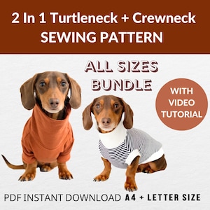 Könnte beinhalten: Ein Nähmuster für einen Rollkragenpullover und einen Rundhals-Pullover für Hunde. Das Muster umfasst alle Größen und wird mit einem Video-Tutorial geliefert. Das Bild zeigt zwei Dackel, die die Pullover tragen, einen in Orange und einen in Schwarz-Weiß-Streifen.