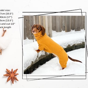 May include: A small brown and tan dachshund wearing a mustard yellow dog jumpsuit in the snow. The dog is standing on a snow-covered rock. The text "Model size: N: 27cm (10.5") C: 43cm (17") L: 35cm (13.5") Size S and cut 1/2" back length" is visible in the image.
