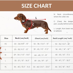 May include: Size chart for dog clothes with measurements in inches and centimeters. The chart shows neck, chest, and back length measurements for sizes XS, S, M, L, and XL.
