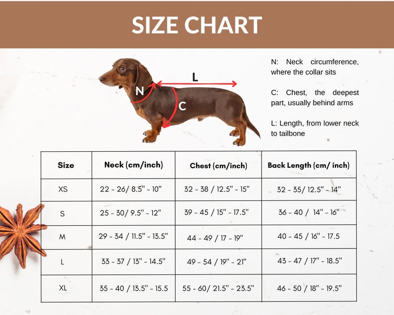 May include: Size chart for dog clothes with measurements in inches and centimeters. The chart shows neck, chest, and back length measurements for sizes XS, S, M, L, and XL.