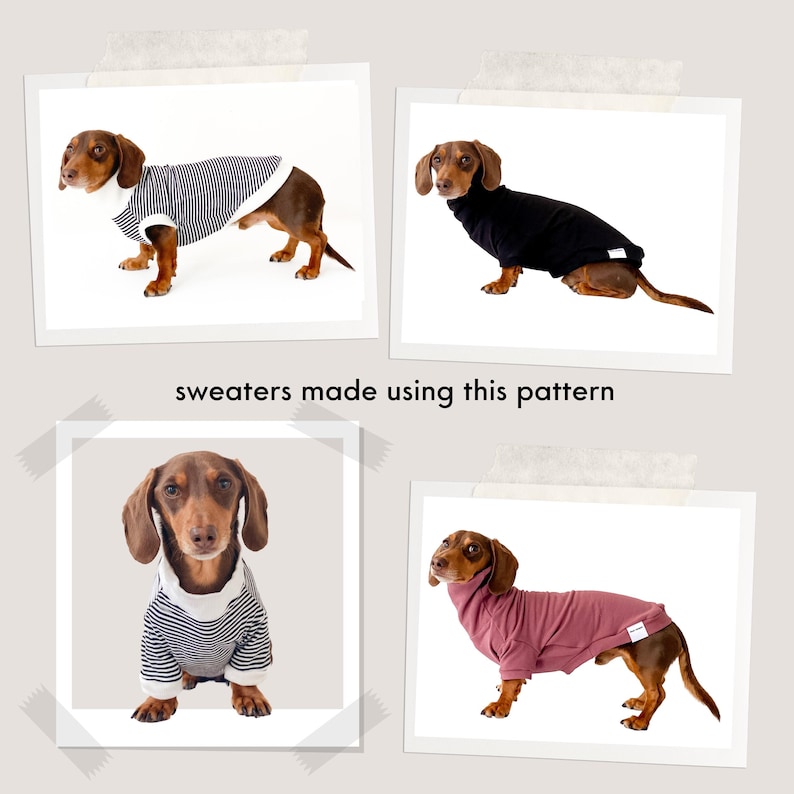 Dog Jumper Sewing Pattern 2 Designs Dachshund Size S Video Tutorial