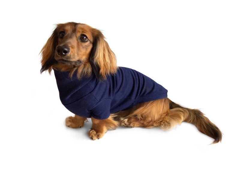 Dachshund clothing Dog clothes handmade sweater Etsy
