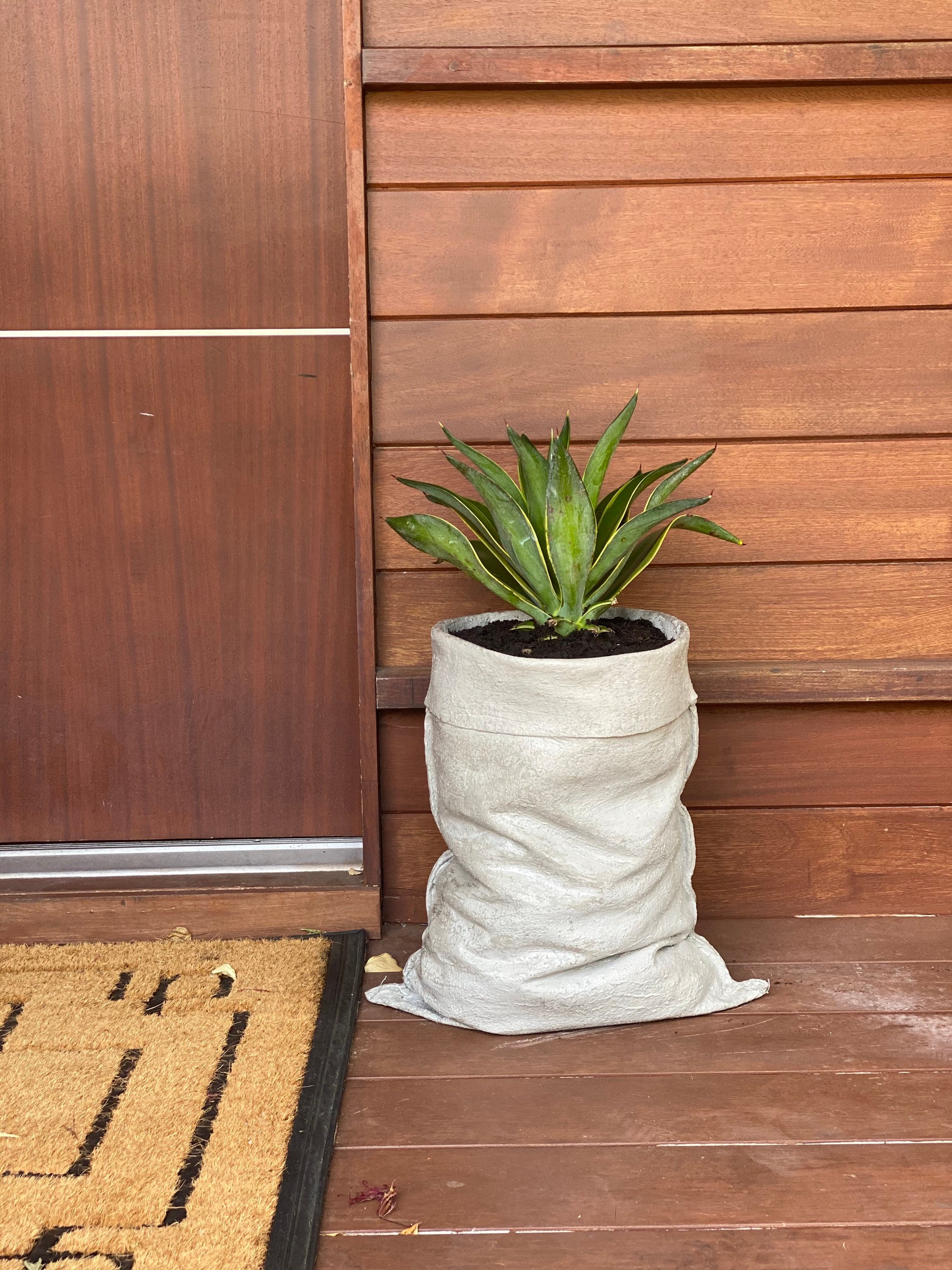 Unique Hand Made Concrete Planter. Large- 9”x13”