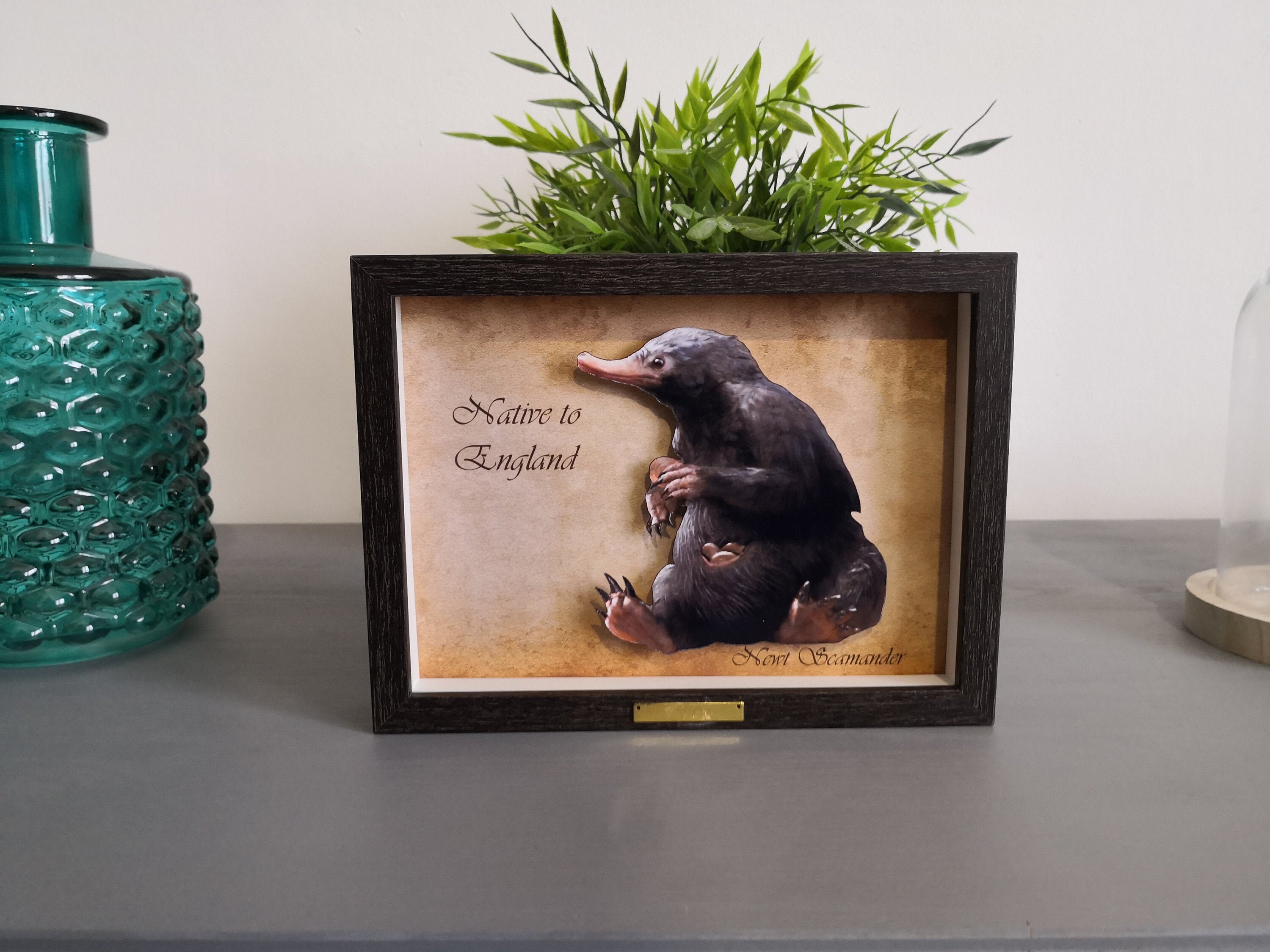 Shadowbox Animaux Féeriques N1