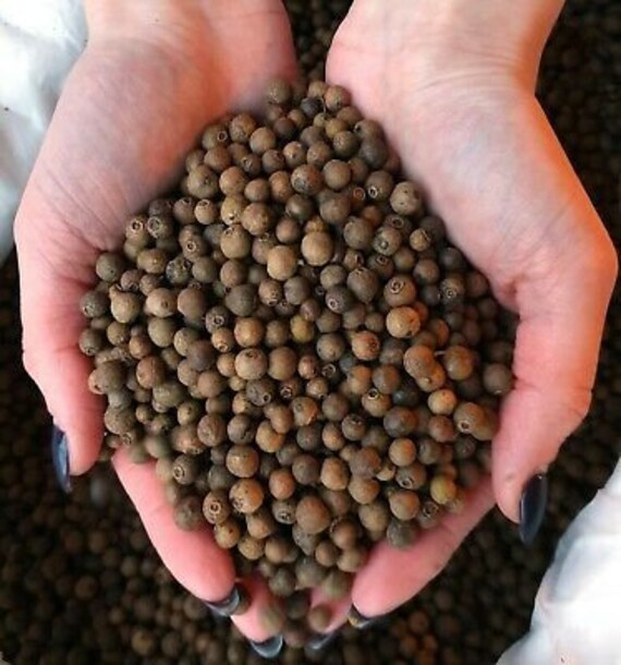 Pimento Allspice Whole Organic Pimiento Cubeb Berries Etsy Canada