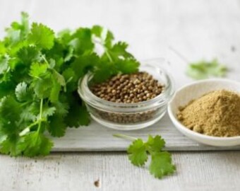 Coriander powder, also called Chinese parsley, dhania or cilantro, Superfood, great quality, 100 gm  ships from Montreal. Product of India