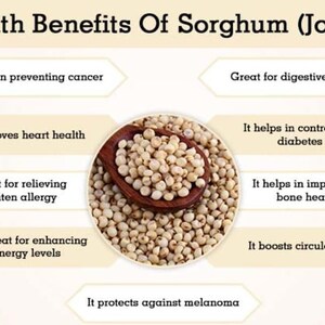 Red Sorghum, Durra, 800g Egyptian Millet, Feterita, Guinea Corn, Jowar, Juwar, Milo, Shallu, Sudan Grass, great millet, Indian millet image 8