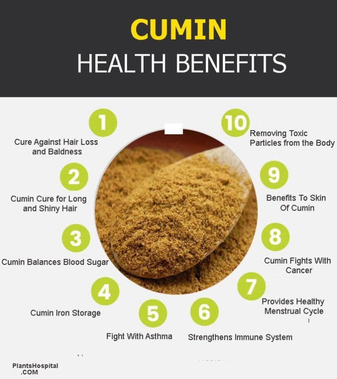 Cumin Powder or Whole Bhuna Jeera Powder 100gm Organic Etsy