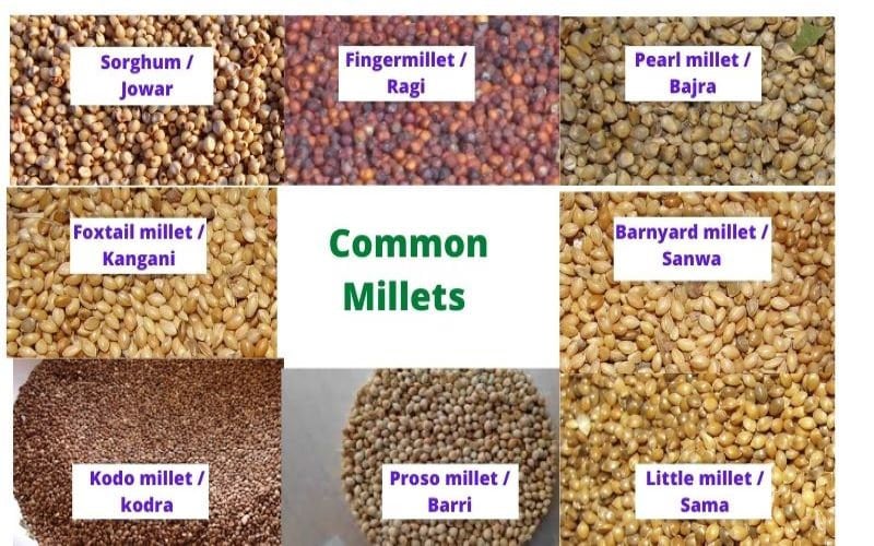 Finger Millet Ragi 14oz 400gms Ships From Canada Nagli Etsy