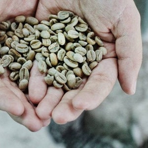 Green coffee  beans Colmbian,  Columbian green coffee, ships from Canada