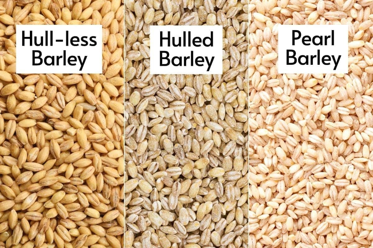 Hulless Barley barley-png-image-png-mart