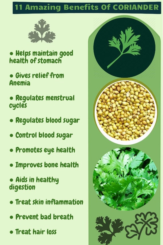 Cilantro Dried Coriander Leaves Crushed Makes Great Recipes - Etsy Cilantro Dried Coriander Leaves Crushed Makes Great Recipes - Etsy