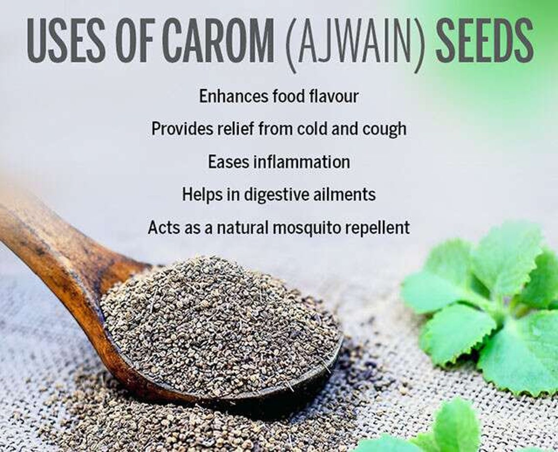 Carom Seeds Ammi visnaga Ajwain Khella Omam Etsy