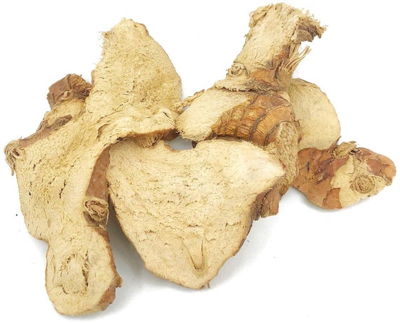 Slices Dry Galangal Galangale Laos Blue Ginger - Etsy